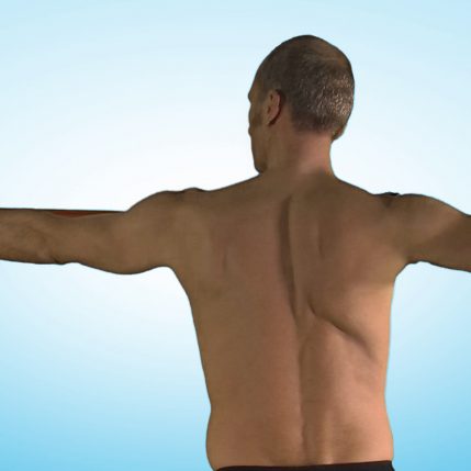 Curso ejercicio terapéutico para el hombro Physio SET app